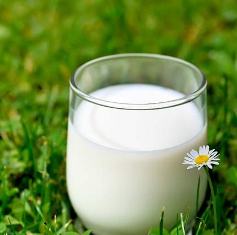 Các loại sữa ít béo trên thị trường